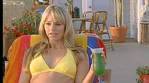 Pic: Cameron Richardson in Hard Breakers (2010)