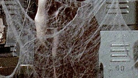 Pic: Susanne Benton in A Boy and His Dog (1975)