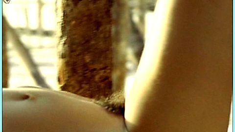 Pic: Fernanda Torres in The House of Sand (2006)