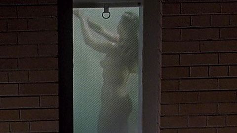 Pic: Lisa Fallon in F/X2 (1991)