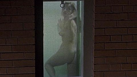 Pic: Lisa Fallon in F/X2 (1991)