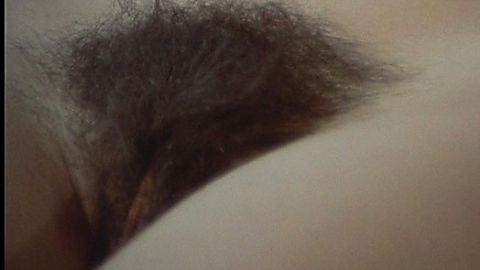 Pic: Tania Busselier in How to Seduce a Virgin (1974)