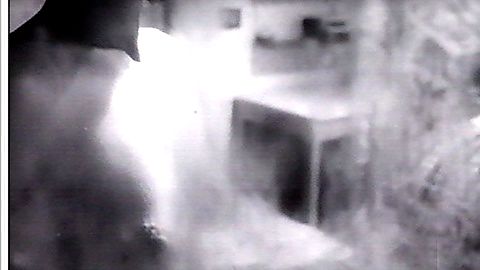 Pic: Essy Persson in I, a Woman (1965)