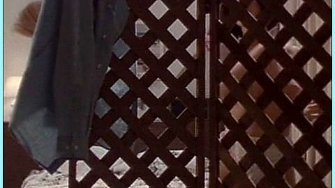 Pic: Suzanne Ager in Fatal Justice (1993)