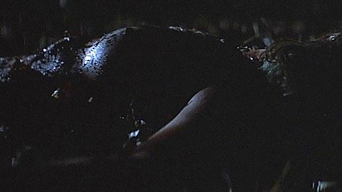Pic: Bibi Besch in The Beast Within (1982)