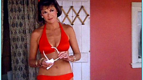 Pic: Jessica Walter in The Flamingo Kid (1984)