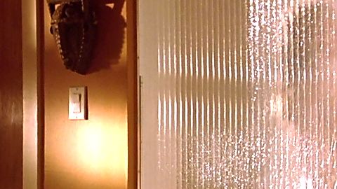 Pic: Jolene Blalock in Slow Burn (2005)