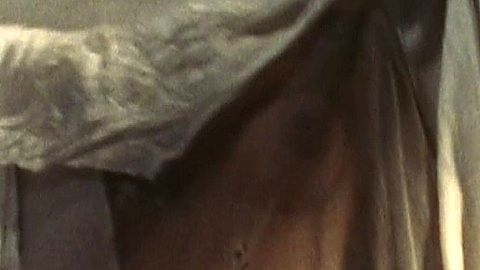 Pic: Denice Duff in Bloodstone: Subspecies II (1993)