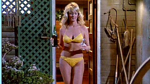 Pic: Judith Baldwin in The Fall Guy (1981)
