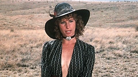 Pic: Barbra Streisand in A Star Is Born (1976)
