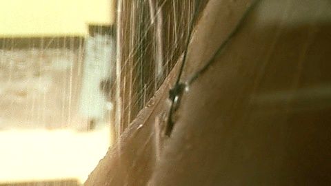Pic: Mila Kunis in Boot Camp (2007)