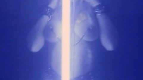 Pic: Melissa Brasselle in Cyborg 3 (1995)
