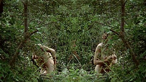 Pic: Aurore Clément in Lacombe Lucien (1974)