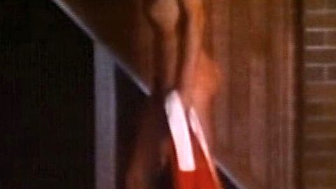 Pic: Jessie Taylor in Graveyard Shift (1987)