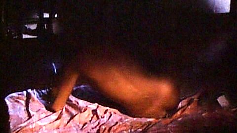 Pic: Amber Lynn in Evils of the Night (1985)