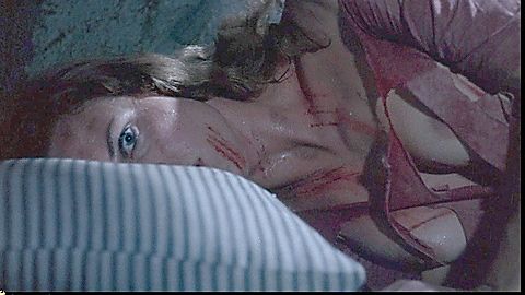 Pic: Roberta Collins in Women in Cages (1971)