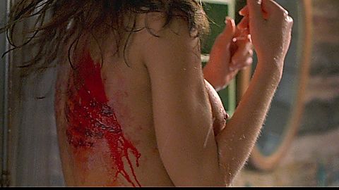 Pic: Cerina Vincent in Cabin Fever (2003)
