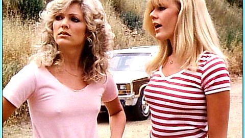 Pic: Bridget Holloman in Evils of the Night (1985)