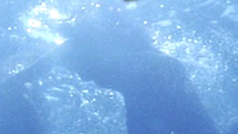 Pic: Roselyn Sanchez in Boat Trip (2002)