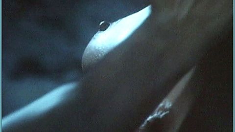 Pic: Mariangélica Ayala in Maya (1989)