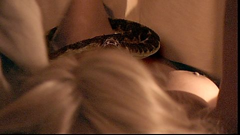 Pic: Mercedes McNab in Vipers (2008)