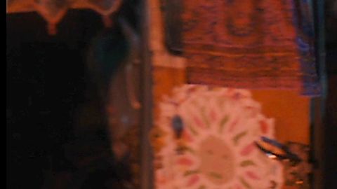 Pic: Kelli Garner in Taking Woodstock (2009)