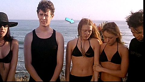 Pic: Schuyler Fisk in Orange County (2002)
