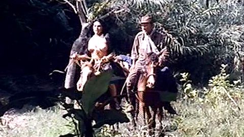 Pic: Sonia Infante in The Treasure of the Amazon (1985)
