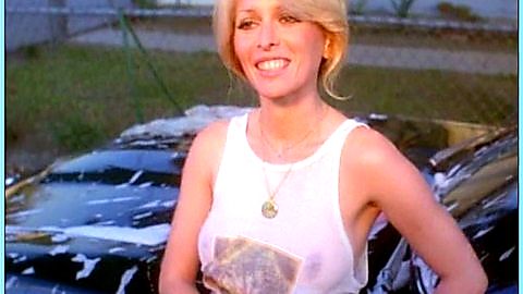 Pic: Connie Hoffman in The Van (1976)