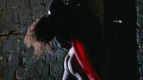 Pic: Anya Sartor in Wild Orchid (1989)