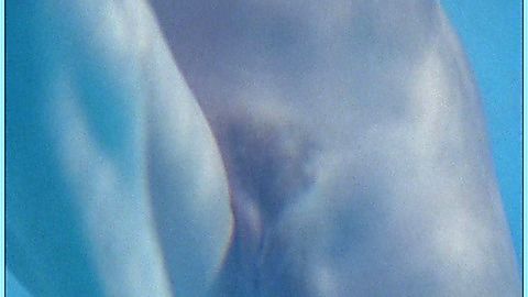 Pic: Nancy O'Brien in Web of Seduction (1999)