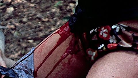 Pic: Lucy Grantham in The Last House on the Left (1972)