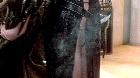 Pic: Sarah Douglas in Conan the Destroyer (1984)