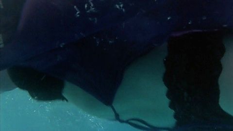 Pic: Chandra West in Water's Edge (2003)