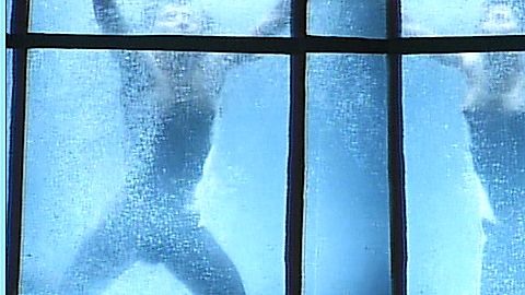 Pic: Lillian Cameron in The Warrior and the Sorceress (1984)