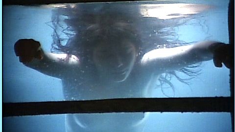 Pic: Lillian Cameron in The Warrior and the Sorceress (1984)