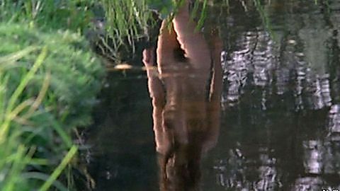 Pic: Willeke van Ammelrooy in Louisa, een woord van liefde (1972)