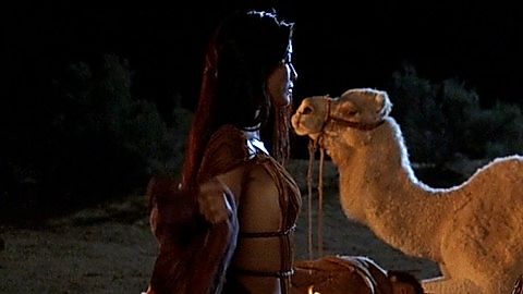 Pic: Kelly Hu in The Scorpion King (2002)