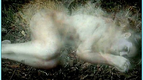 Pic: Agnes Bruckner in Blood and Chocolate (2007)