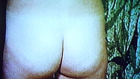 Pic: Rebecca Brooke in The Groove Tube (1974)