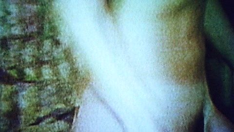 Pic: Rebecca Brooke in The Groove Tube (1974)