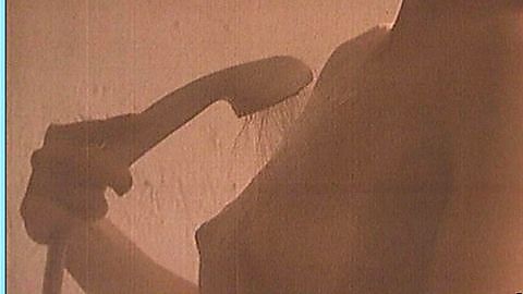 Pic: Anica Dobra in Vec vidjeno (1987)