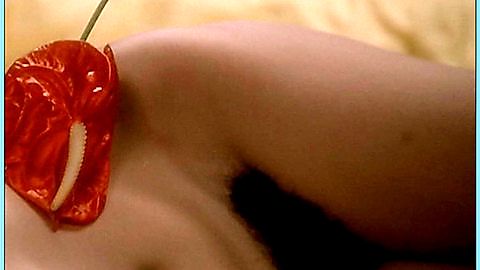 Pic: Michele Starck in Laure (1976)