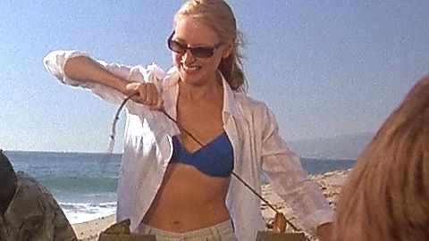 Pic: Patricia Clarkson in The Dying Gaul (2005)
