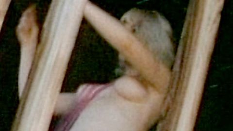 Pic: Sin Lenee in Mondo Topless (1966)
