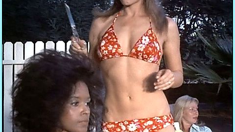 Pic: Laurie Rose in Policewomen (1974)