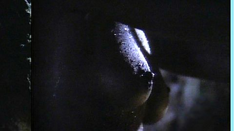 Pic: Melanie Kilgour in Empire of Ash II (1988)