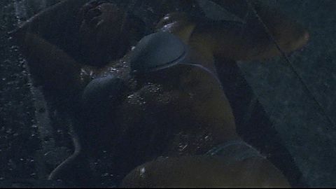 Pic: Susan May Pratt in Open Water 2: Adrift (2006)