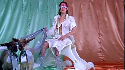 Pic: Aimee Mullins in The Order: from Matthew Barney's Cremaster 3 (2002)