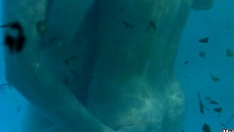 Pic: Nína Dögg Filippusdóttir in The Sea (2002)